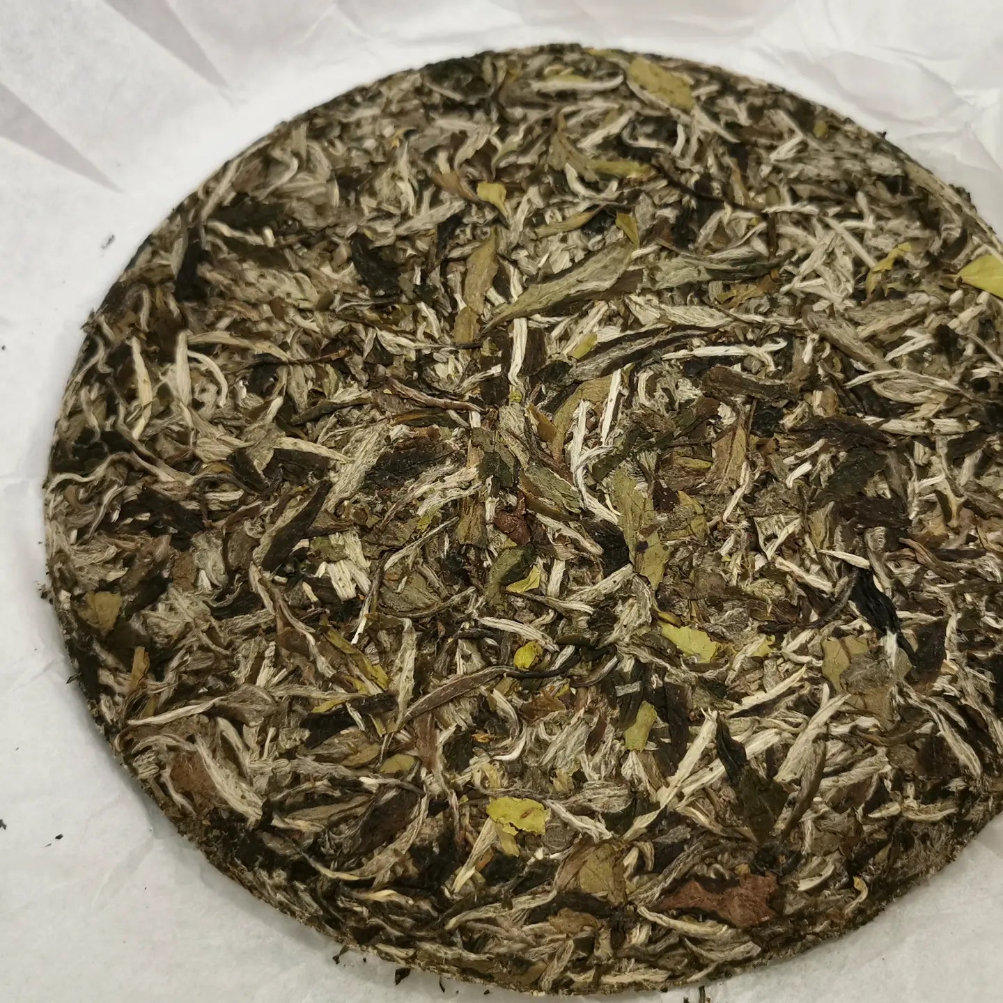 Tea: White peony 福鼎白茶 白牡丹