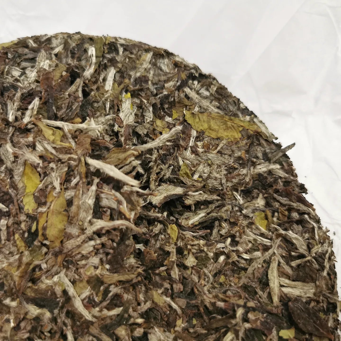 Tea: White peony 福鼎白茶 白牡丹
