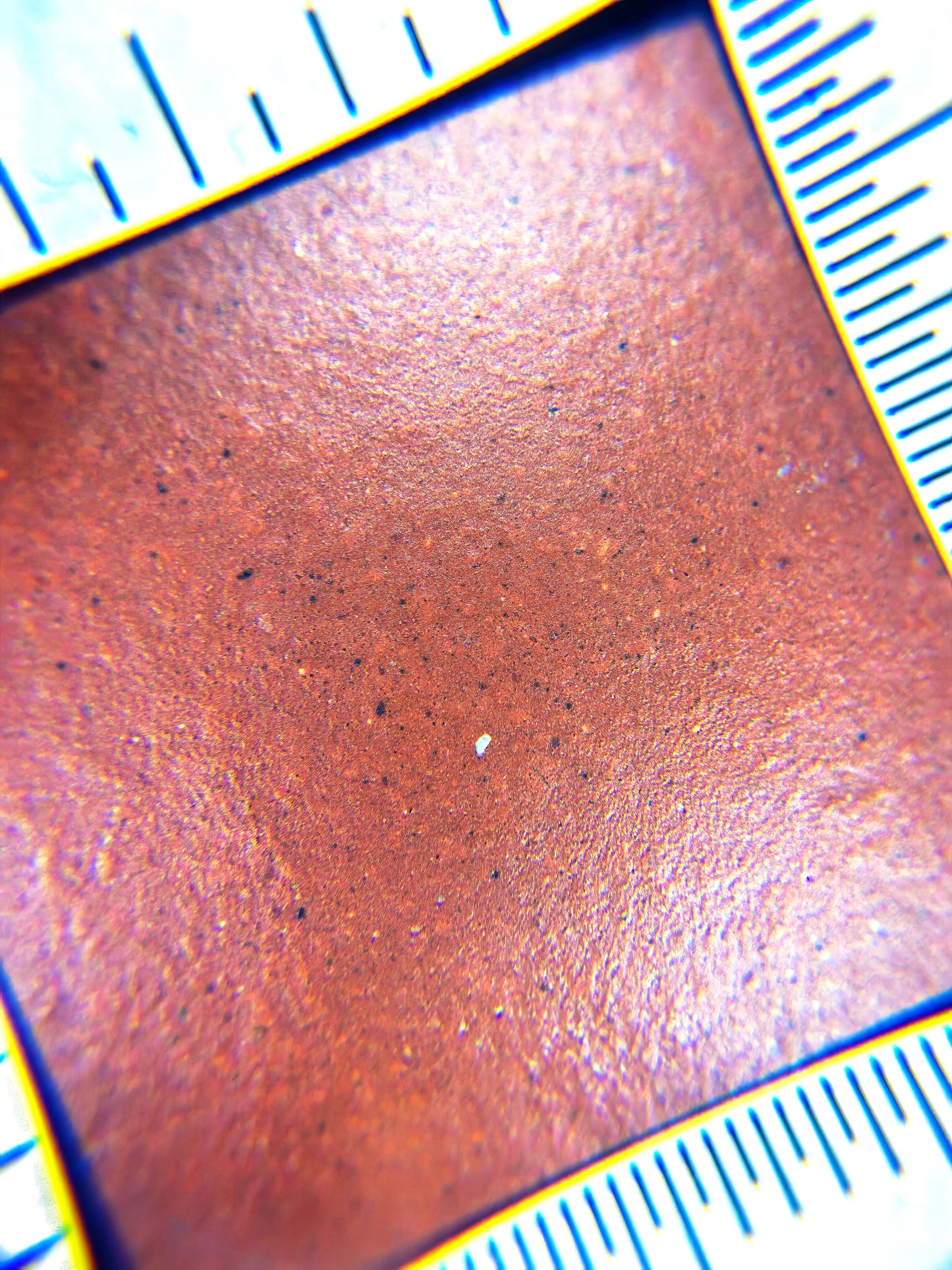 90s Dicuoqing Julun 90年代 底槽清 巨輪