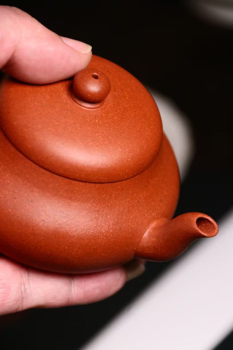 Zhaozhuang Xiaohongni Junde Pot 趙莊小紅泥 君德壺