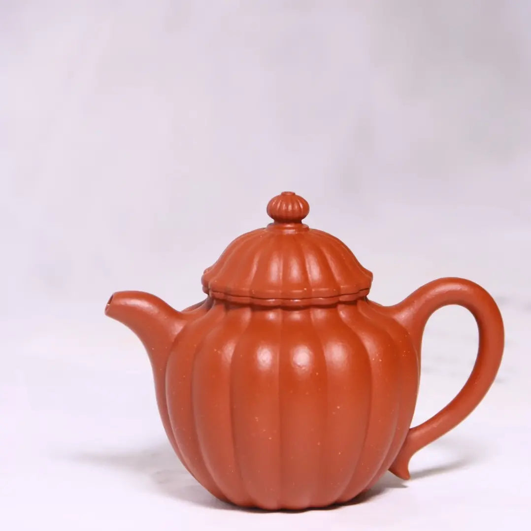 Ribbed Petals Pot Dahungpao Zhuni 大紅袍 菊瓣壺