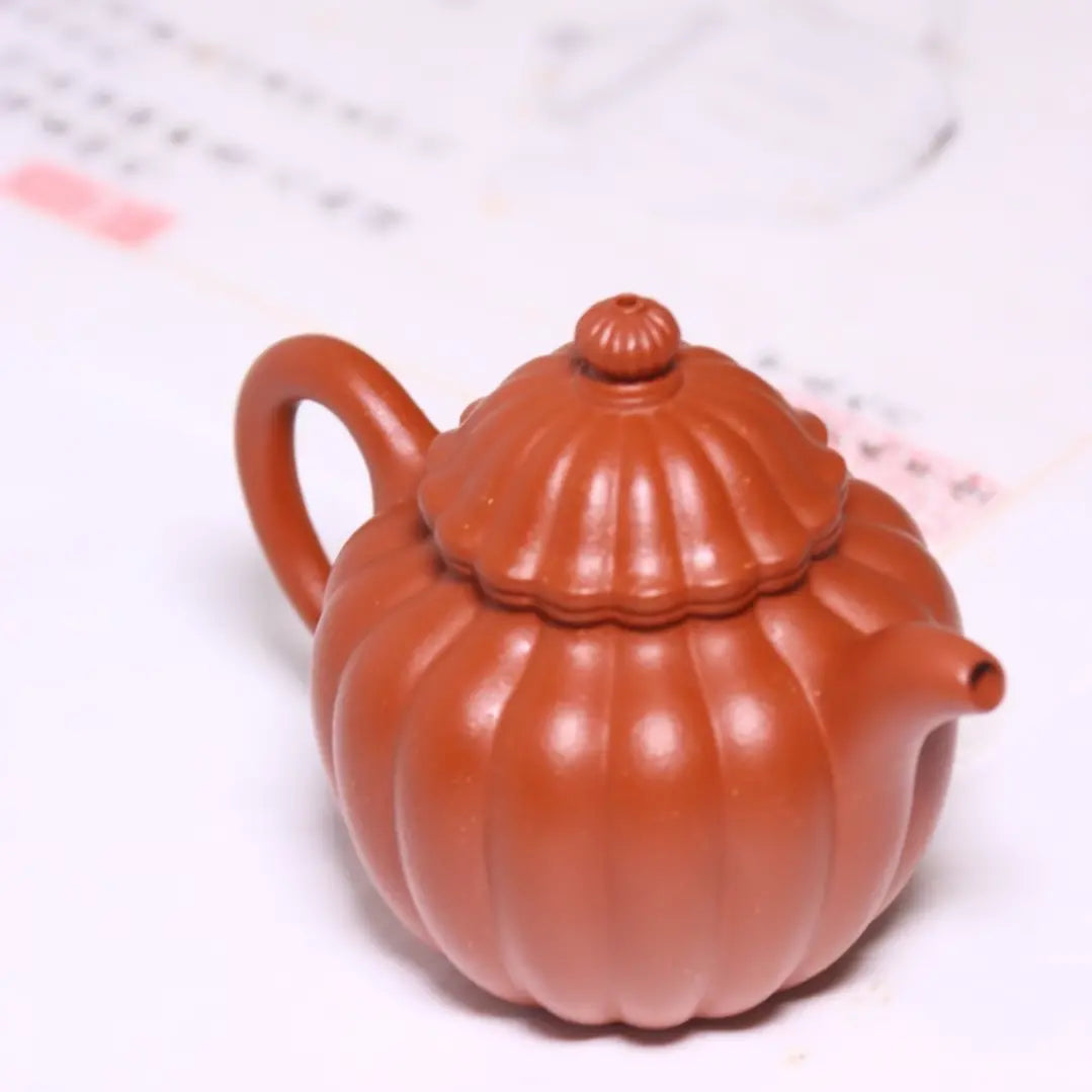 Ribbed Petals Pot Dahungpao Zhuni 大紅袍 菊瓣壺