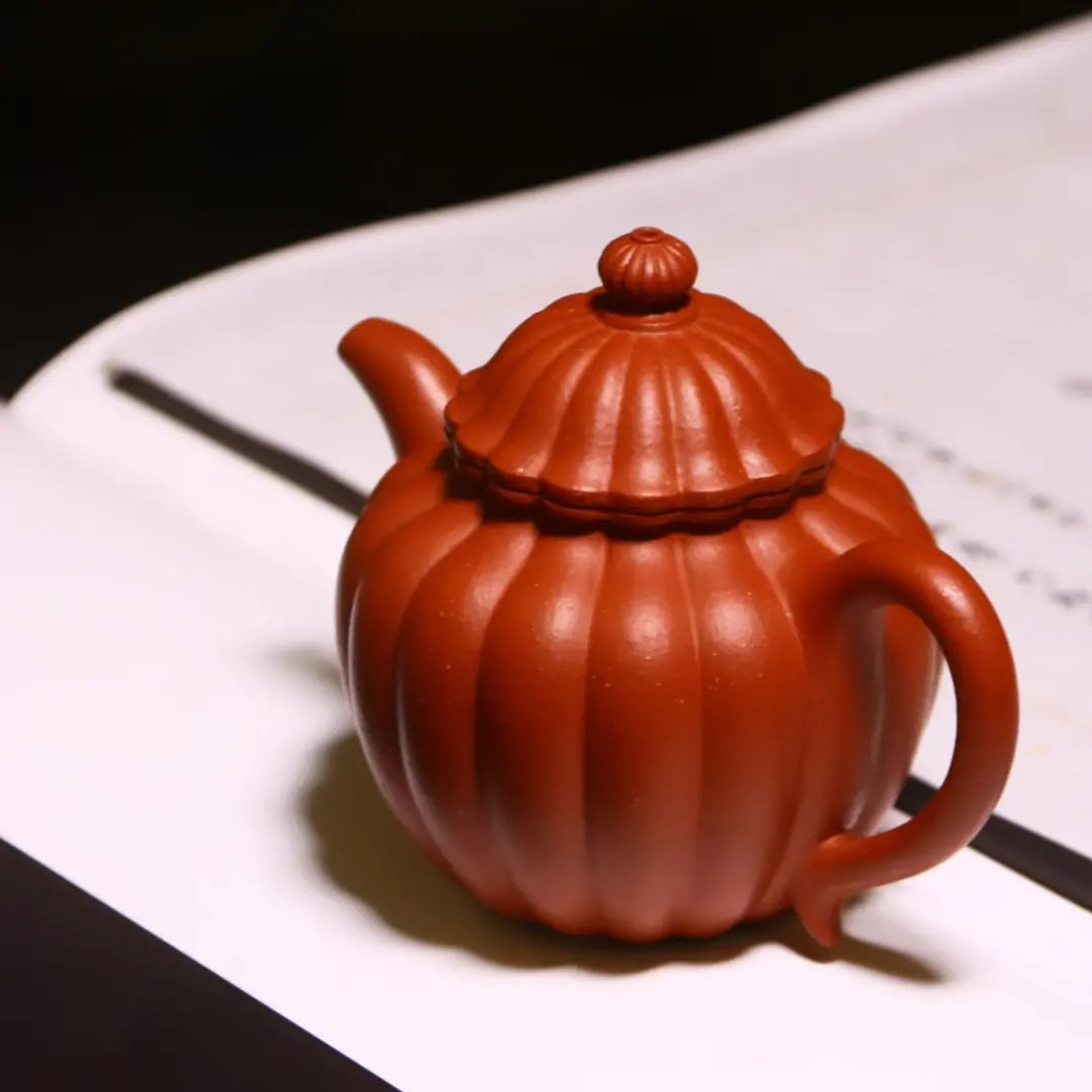 Ribbed Petals Pot Dahungpao Zhuni 大紅袍 菊瓣壺