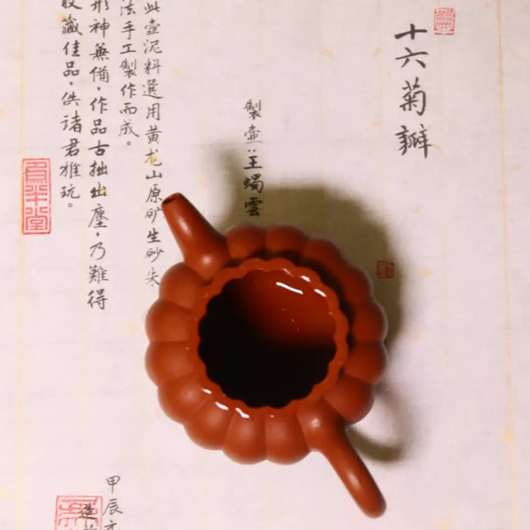 Ribbed Petals Pot Dahungpao Zhuni 大紅袍 菊瓣壺