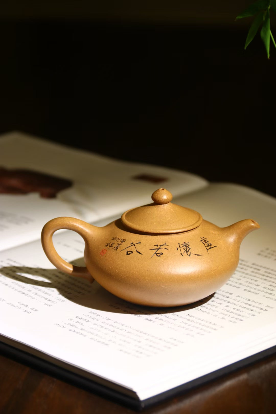 Golden Duan Clay - Ziling 黃金段 芝靈