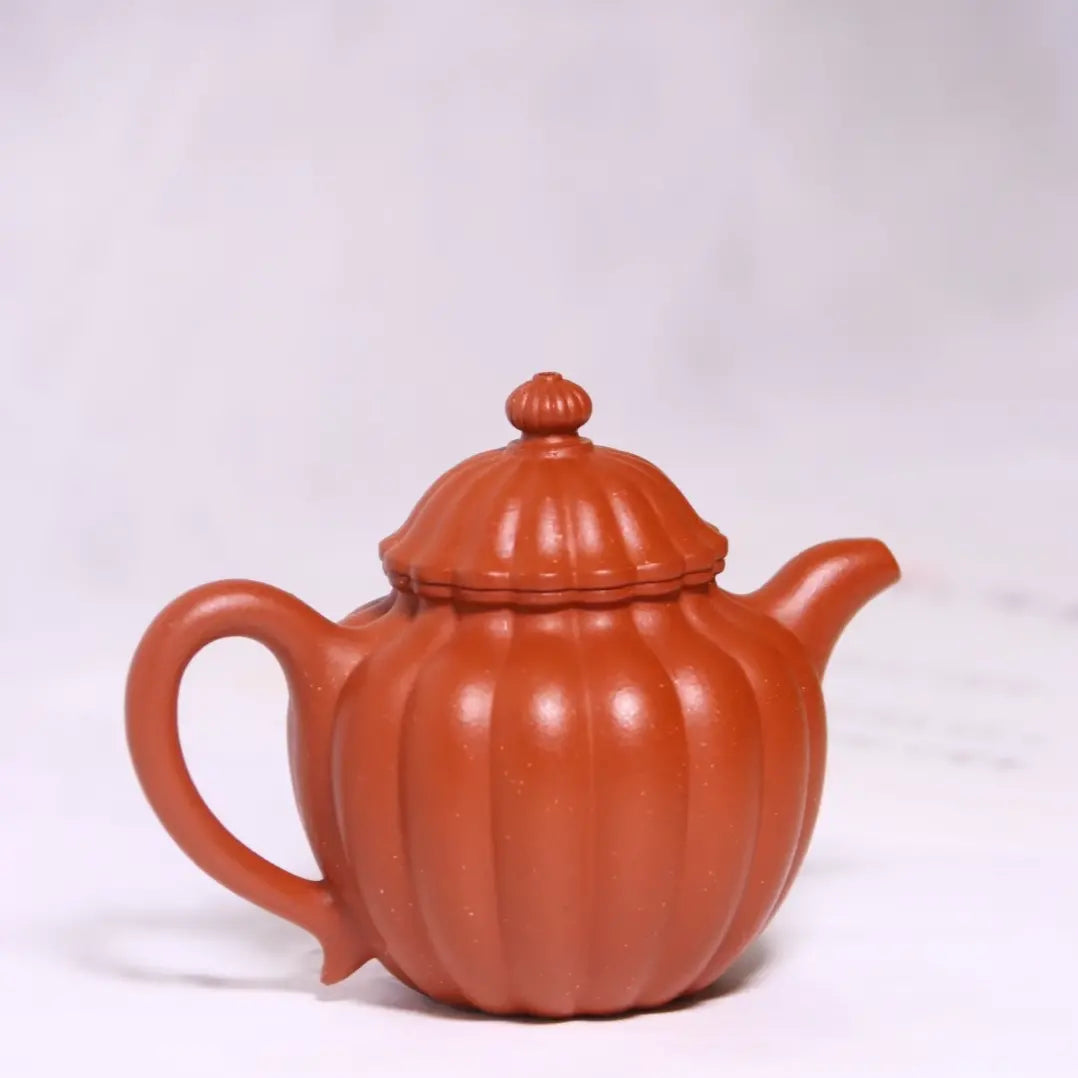 Ribbed Petals Pot Dahungpao Zhuni 大紅袍 菊瓣壺