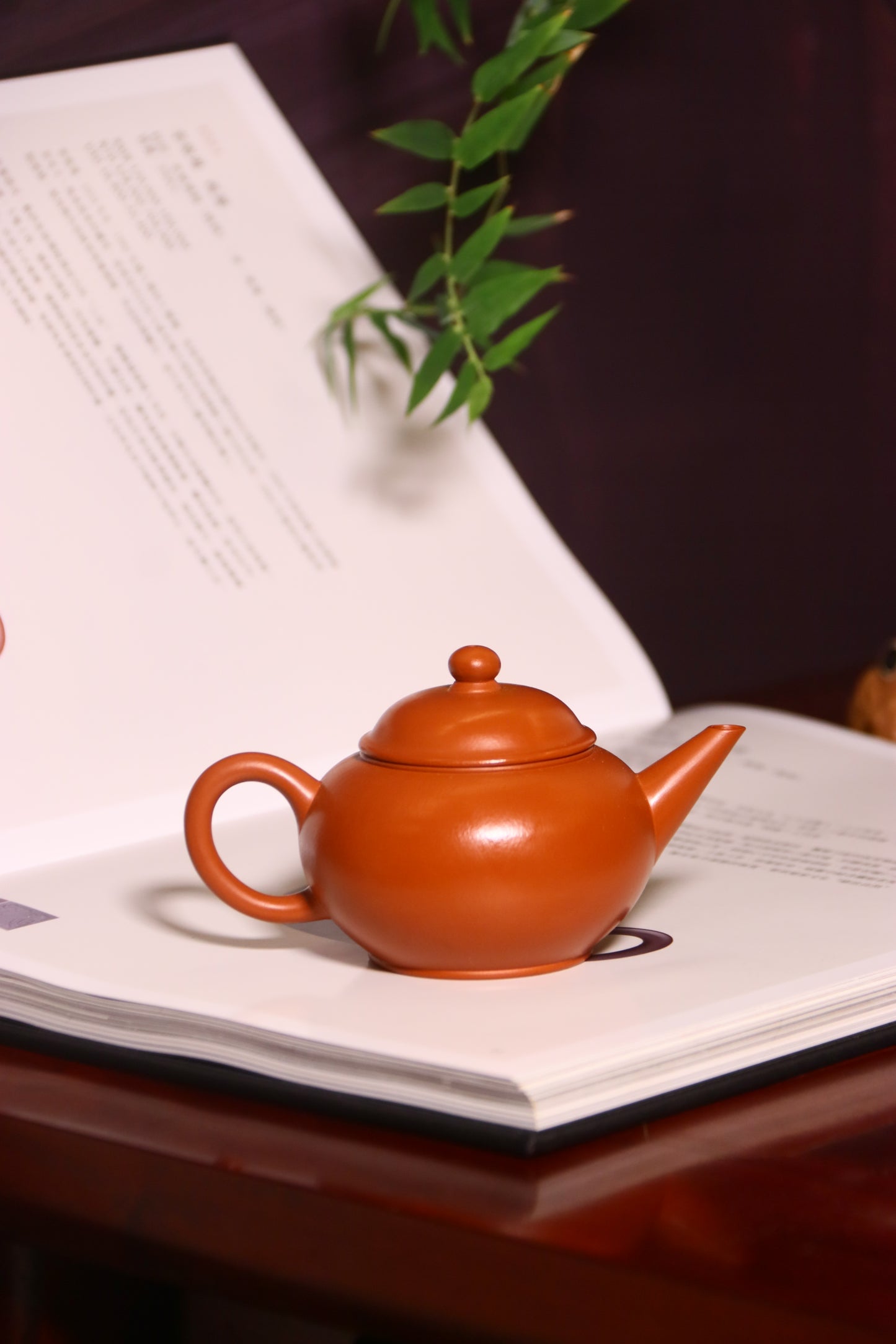 Red Clay (Zhaozhuang Zhuni) Shuiping Pot 趙莊朱泥 水平壺