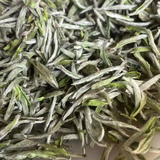 Wild Baekho Silver Needle  荒野白茶 白毫銀針